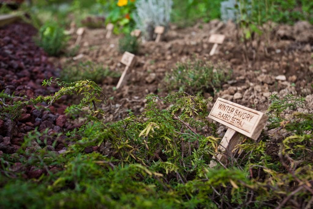 Charming Slovenia - Herbal Glamping Resort Ljubno Eksteriør bilde